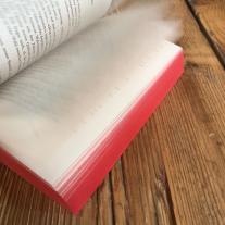 Sylke Hachmeister, Stephenie Meyer: Biss zum Ende der Nacht (Bella und Edward 4) 