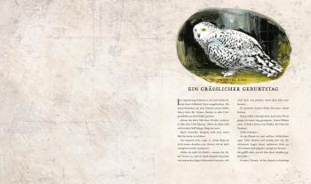 Jim Kay, Klaus Fritz, J.K. Rowling, Joanne K. Rowling: Harry Potter und die Kammer des Schreckens (Schmuckausgabe Harry Potter 2) 