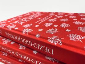 Theresa Baumgärtner: Dezember Journal 