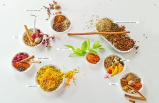 Thomas Vierich, Thomas Vilgis: Aroma essenziell 