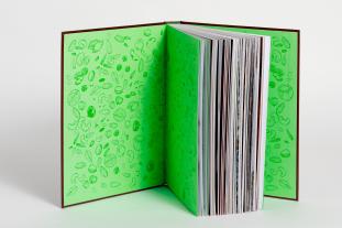 Estella Schweizer: Das Nuss-Kochbuch 