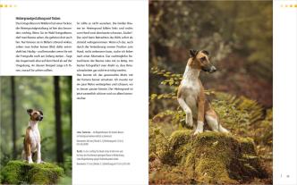 Regine Heuser, Heuser Regine: Hunde-Shooting - Fotografieren mit „Wau-Effekt“ 