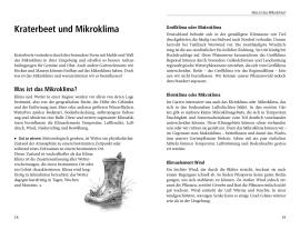 Natalie Fassmann, Natalie Faßmann, Margret Schneevoigt: Das Kraterbeet 