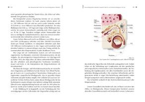 Gerlinde Debus, Meike Dr. med. Scheuplein, Meike Dr. med. Scheuplein, Gerlinde Prof. Dr. med. Debus, Gerlinde Prof. Dr. med. Debus, Meike Scheuplein: NeuroIntegrative Medizin: Durch körpereigene Intelligenz die Selbstheilungskräfte aktivieren 