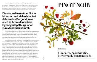 Ralf Frenzel, Hallwag: Weingenuss 