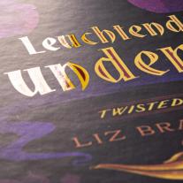 Petra Sparrer, Walt Disney: Disney. Twisted Tales: Leuchtende Wunderwelt (Aladdin) 