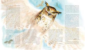 Jim Kay, Klaus Fritz, J.K. Rowling, Joanne K. Rowling: Harry Potter und der Stein der Weisen (Schmuckausgabe Harry Potter 1) 