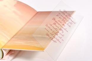 Maren Vivien Haase: Hamptons Prestige - Doubts & Desires 