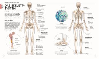 Ann Swanson: Yoga verstehen - Die Anatomie der Yoga-Haltungen 