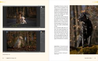 Regine Heuser, Heuser Regine: Hunde-Shooting - Fotografieren mit „Wau-Effekt“ 