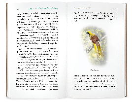 Philippe J. Dubois, Élise Rousseau: Kleine Philosophie der Vögel 