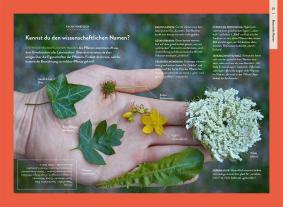 Theresa Ester: Nature Guide Wildpflanzen 