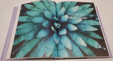 Anthony William: Heile dein Gehirn – Das Praxisprogramm 
