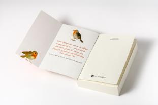 Regina Rawlinson, Virginia Evans: Die Briefeschreiberin 