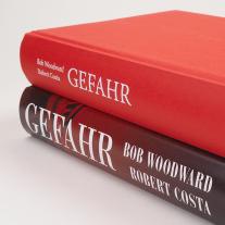 Robert Costa, Bob Woodward: Gefahr 