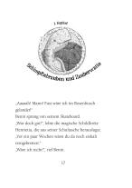 Margit Auer, Nina Dulleck: Die Schule der magischen Tiere Erstausstattung 7: Wo ist Mr. M? 
