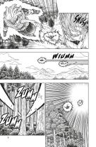 Toriyama Akira, Akira Toriyama (Original Story), Toyotarou: Dragon Ball Super 17 