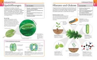 DK Verlag: Visuelles Wissen. Biologie 
