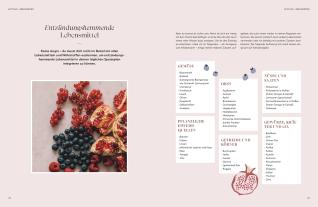 Shabnam Rebo, DK Verlag: Healing Kitchen – gesund mit anti-entzündlicher Ernährung 