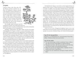 Irmela Erckenbrecht, Margret Schneevoigt: Die Kräuterspirale 
