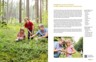 Martina Merz: Wildkräuter – Bestimmen, Sammeln, Zubereiten 