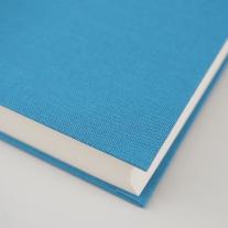 Gustave Flaubert, Elisabeth Edl: Drei Geschichten 