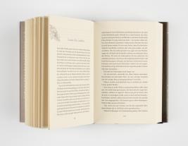 Julia Dippel: Izara 1: Das ewige Feuer 