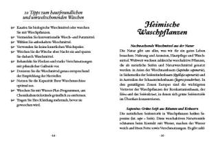 Gabriela Nedoma: Das große kleine Buch: Naturwaschmittel aus Wald und Wiese 
