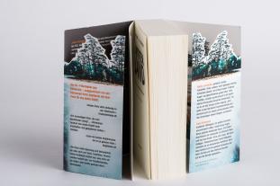 Kim Faber, Janni Pedersen: Winterland 