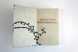 Sigrun Zühlke, Christina Henry: Die Chroniken von Alice - Dunkelheit im Spiegelland 
