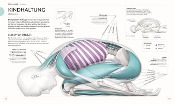 Ann Swanson: Yoga verstehen - Die Anatomie der Yoga-Haltungen 