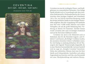 Danu Forest, Dan Goodfellow: Keltische Göttinnen, Hexen und Königinnen Orakel 