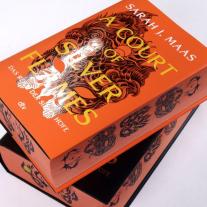 Franca Fritz, Heinrich Koop, Sarah J. Maas: A Court of Silver Flames 