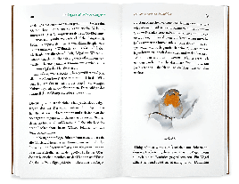 Philippe J. Dubois, Élise Rousseau: Kleine Philosophie der Vögel 