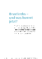 Birgit Blumenschein, Christine Reudelsterz: Brustkrebs - Die optimale Ernährung für mich 