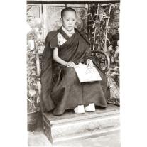 Tenzin Geyche Tethong: Dalai Lama 