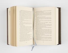 Julia Dippel: Izara 1: Das ewige Feuer 