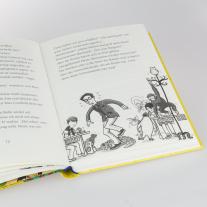 Margit Auer, Nina Dulleck: Die Schule der magischen Tiere Erstausstattung 7: Wo ist Mr. M? 