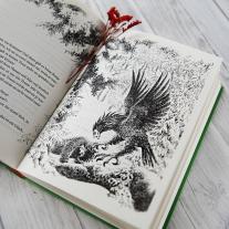 Astrid Lindgren, Ilon Wikland: Ronja Räubertochter 