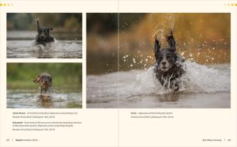 Regine Heuser, Heuser Regine: Hunde-Shooting - Fotografieren mit „Wau-Effekt“ 