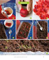 Eliana Ferioli: Regrowing – Neue Triebe aus Obst- und Gemüseresten 