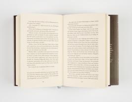 Julia Dippel: Izara 1: Das ewige Feuer 