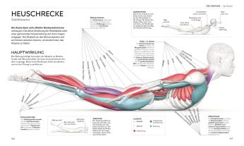 Wiebke Krabbe, Silke Schütze, DK Verlag, Ann Swanson: Yoga verstehen - Die Anatomie der Yoga-Haltungen 