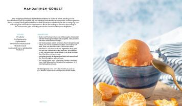 Lucy Allary · Eisbrunnen: Die vegane Eis-Bibel 