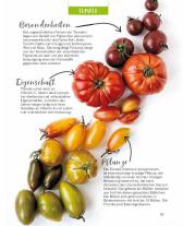 Eliana Ferioli: Regrowing – Neue Triebe aus Obst- und Gemüseresten 